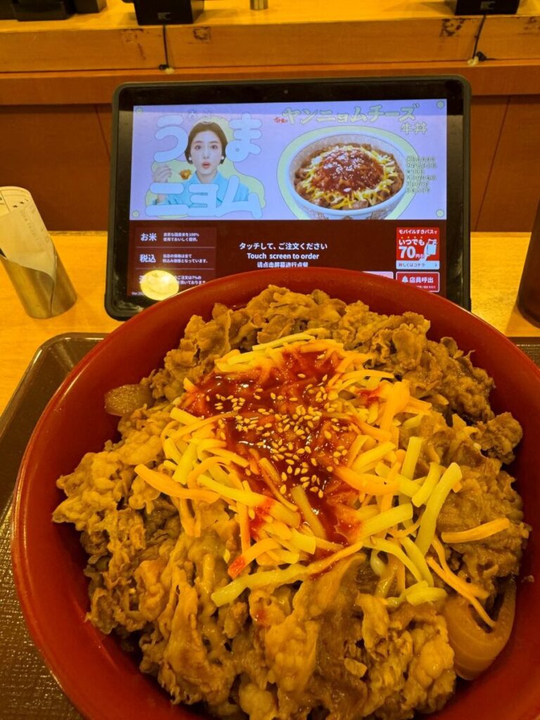 ヤンニョムチーズ牛丼