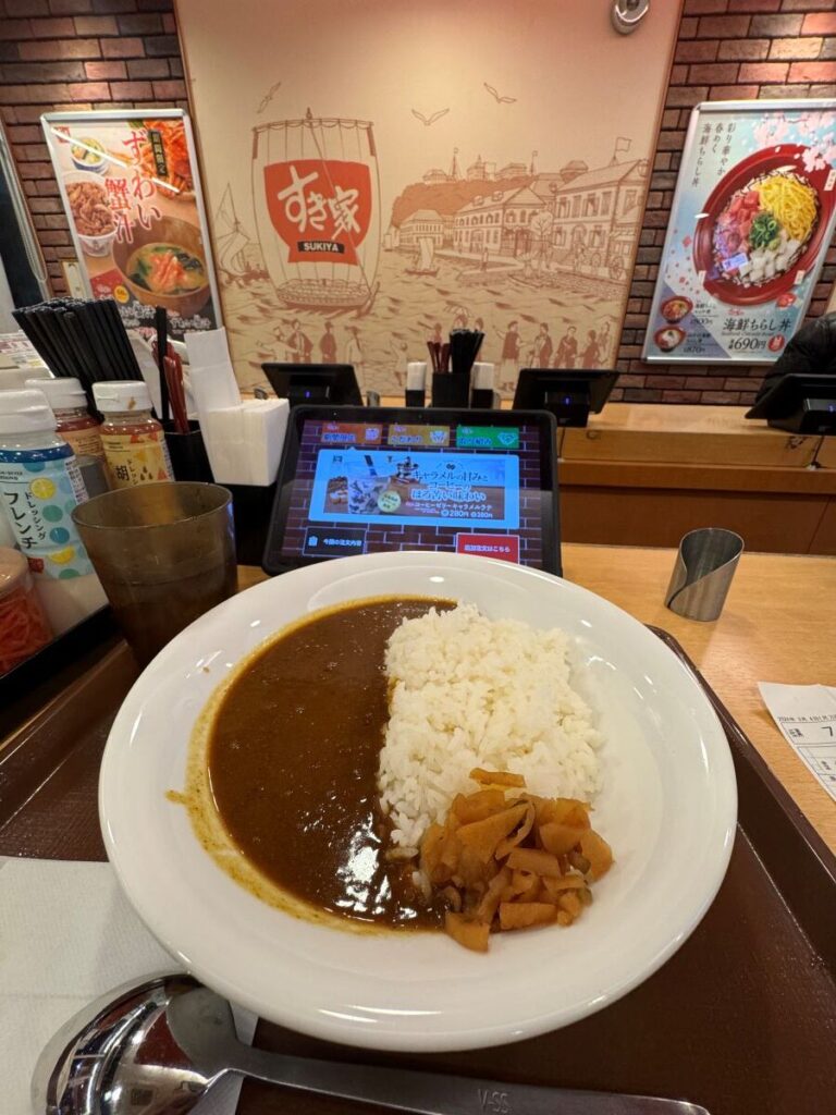 すき家カレーライス