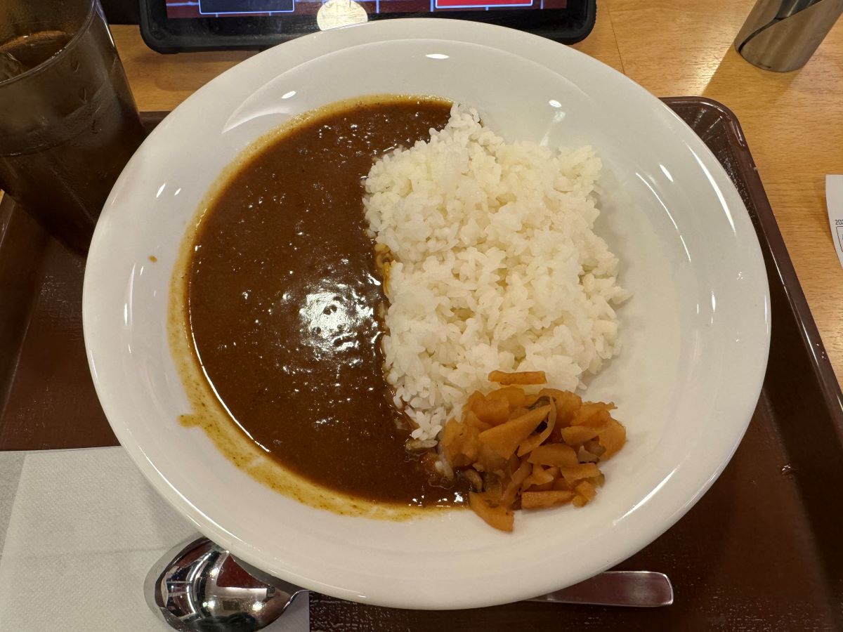 すき家カレー並