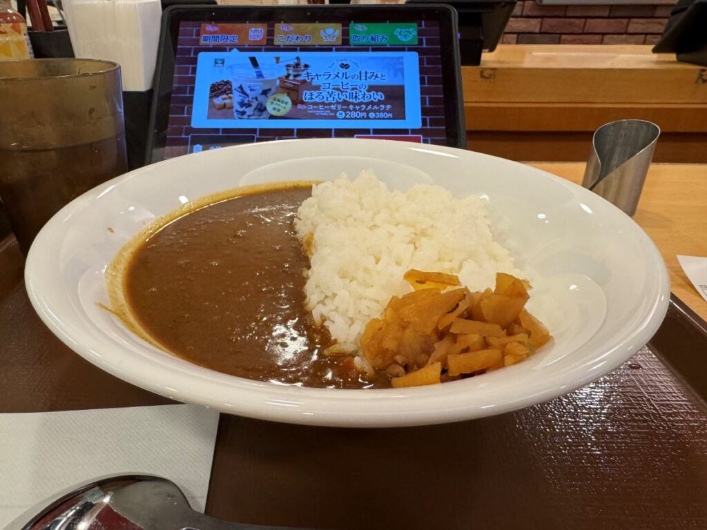 すき家カレー普通盛