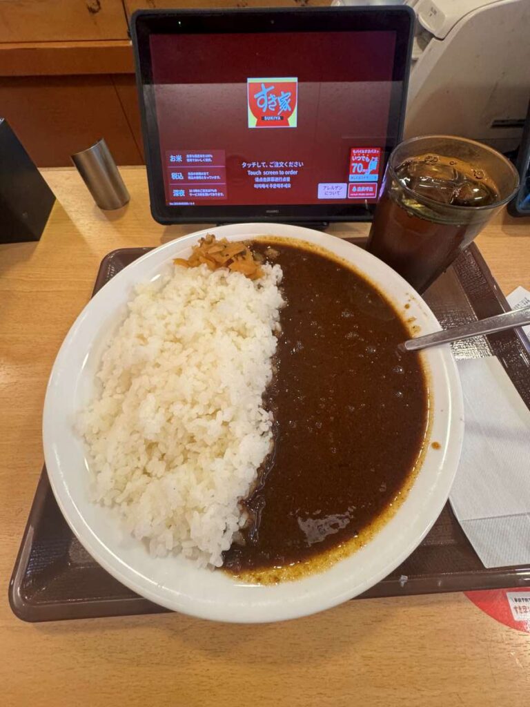 すき家メガカレー